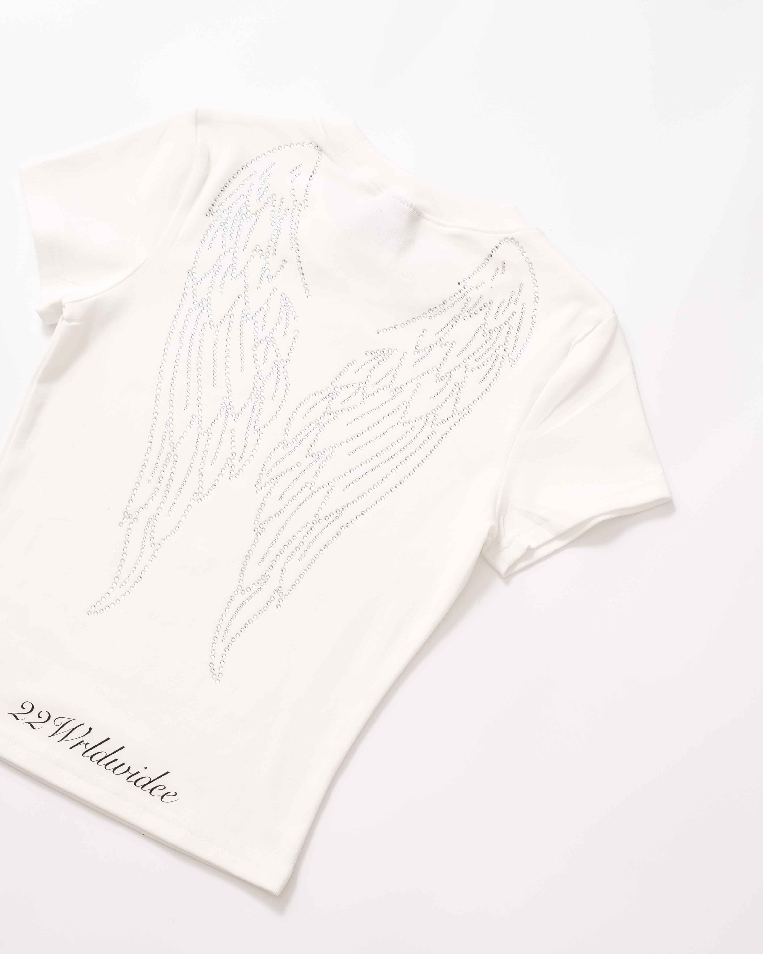 Pegasus's Wing Crop