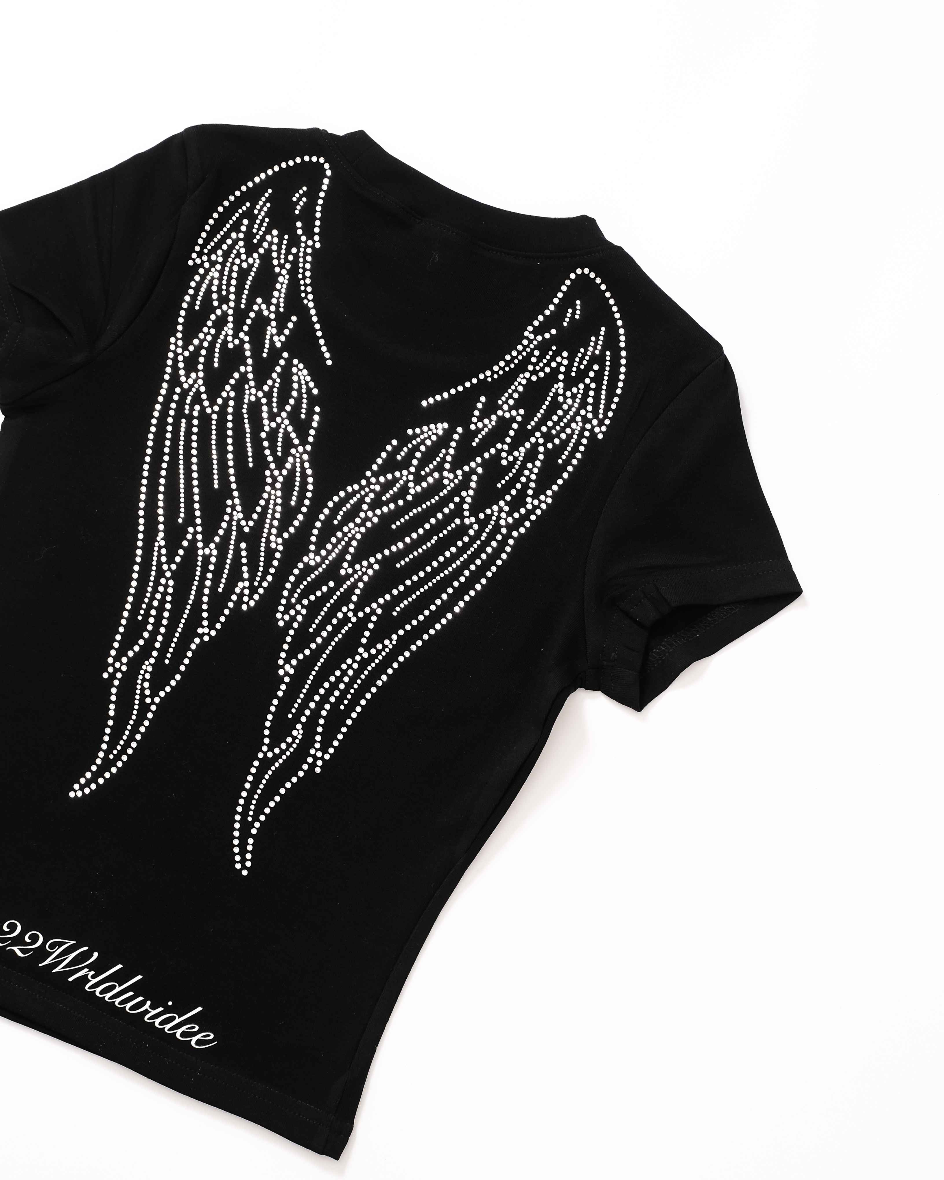 Pegasus's Wing Crop